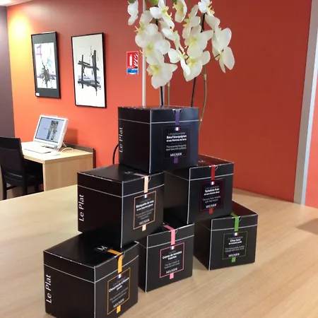 Privilodges Carre De Jaude