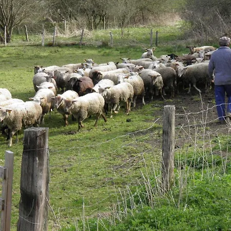 Privilodges Carre De Jaude Ξενοδοχείο με διαμερίσματα Κλερμόν Φεράν