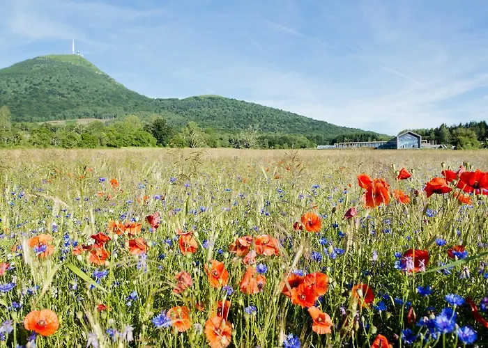 Privilodges Carre De Jaude