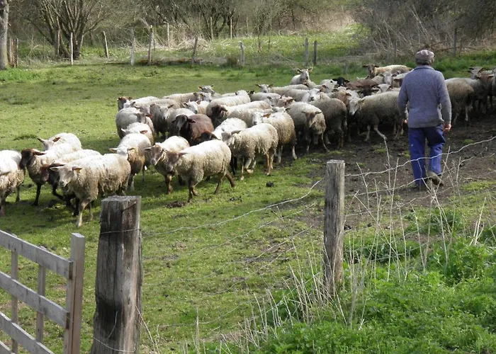 Privilodges Carre De Jaude Apartmanhotel Clermont-Ferrand